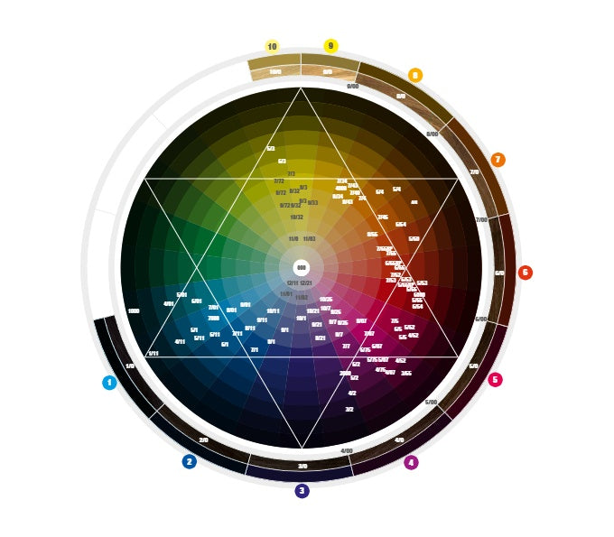 bbcos Innovation EVO